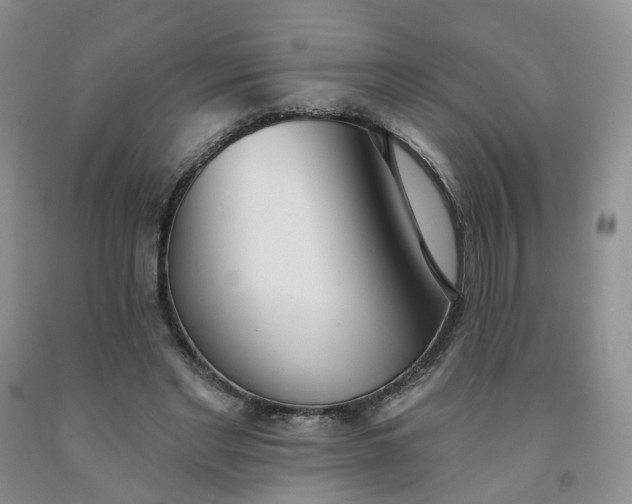 X0000091990493200709201450