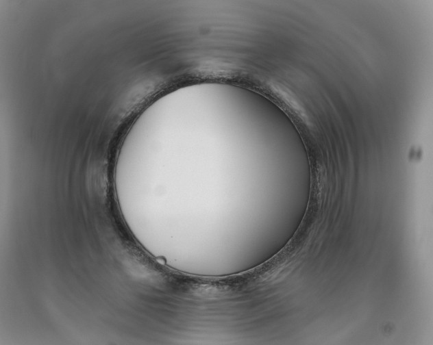 X0000091990494200709201450