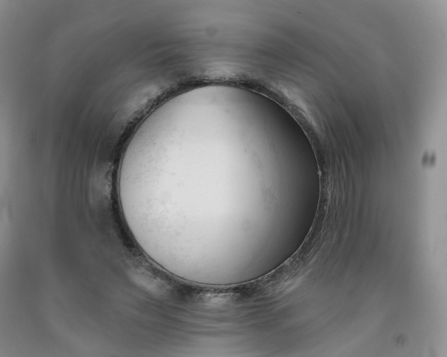 X0000091990495200709201450