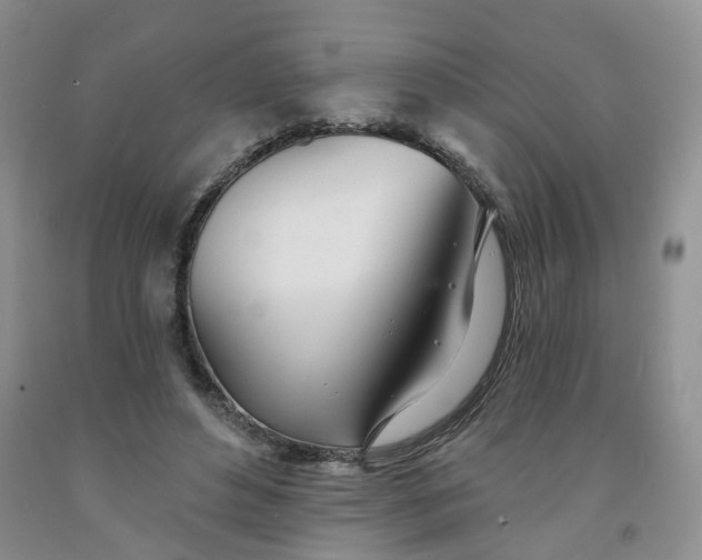 X0000091990496200709201450