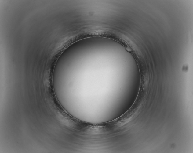 X0000091990497200709201450