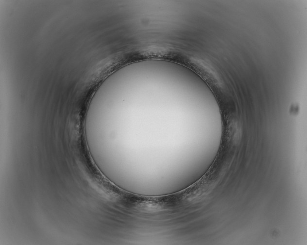 X0000091990498200709201450