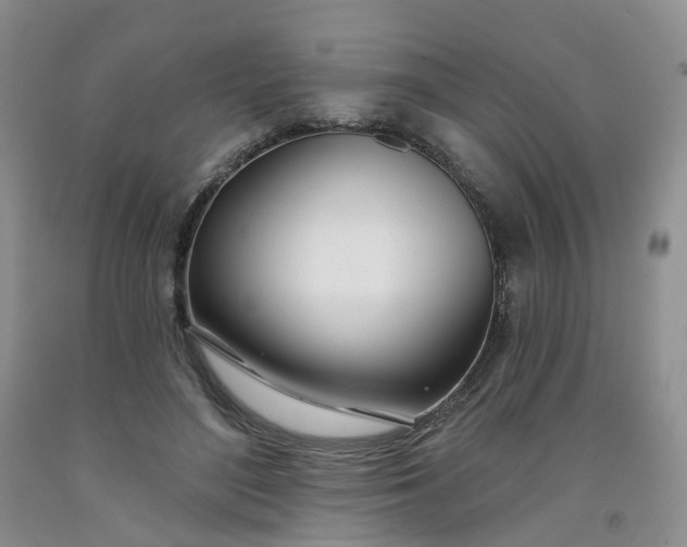 X0000091990500200709201450