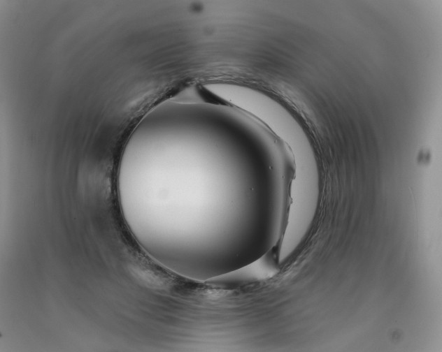 X0000091990501200709201450