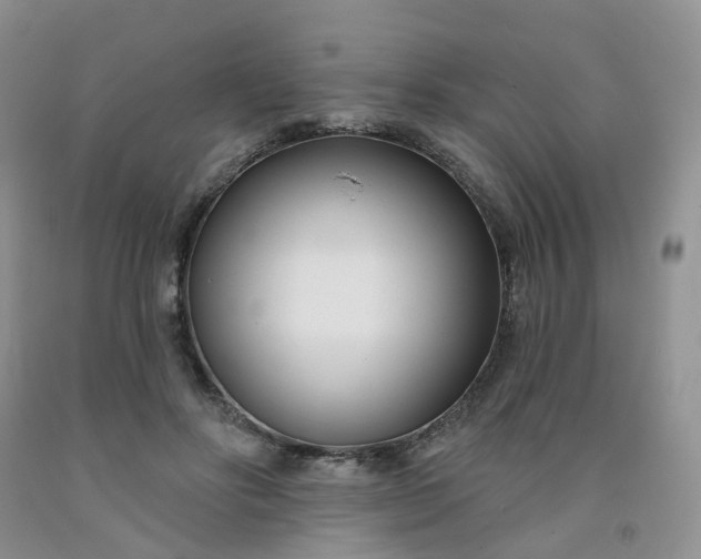 X0000091990502200709201450