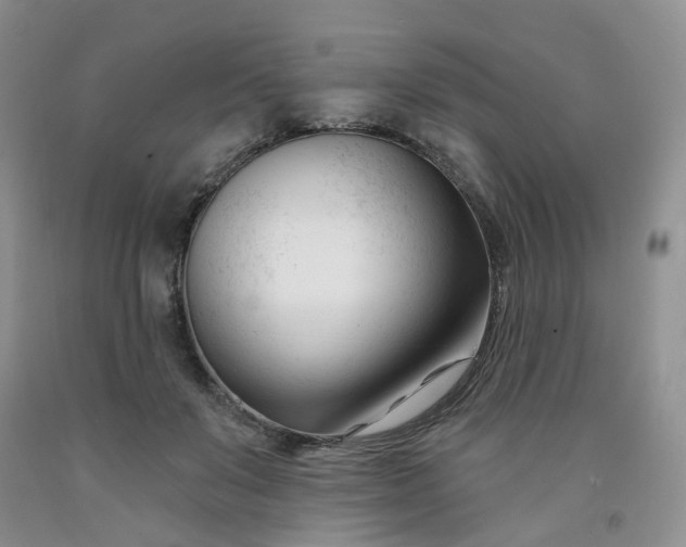 X0000091990503200709201450