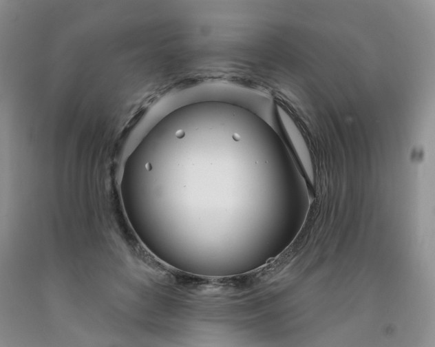 X0000091990504200709201450