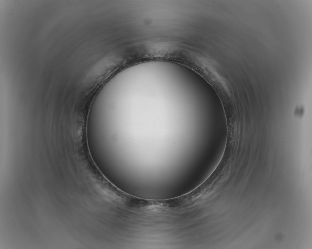 X0000091990505200709201450