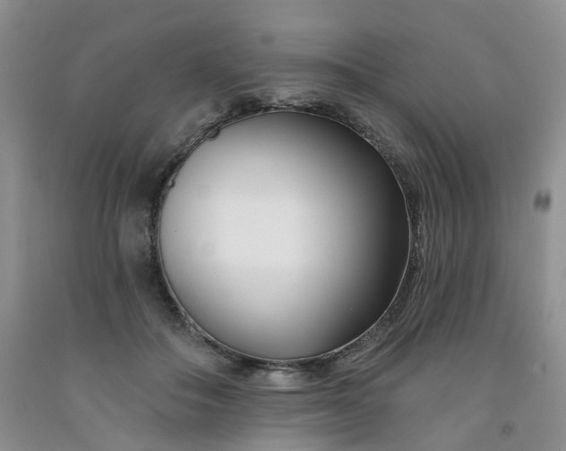 X0000091990506200709201450