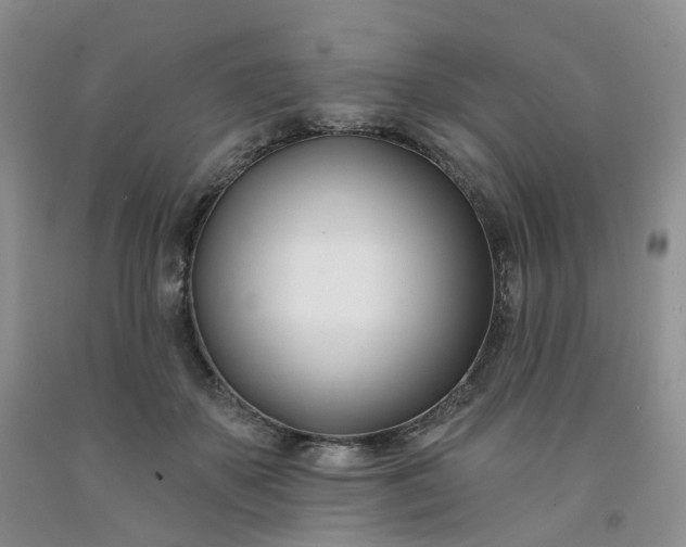 X0000091990507200709201450