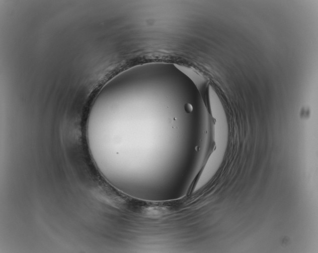 X0000091990508200709201450
