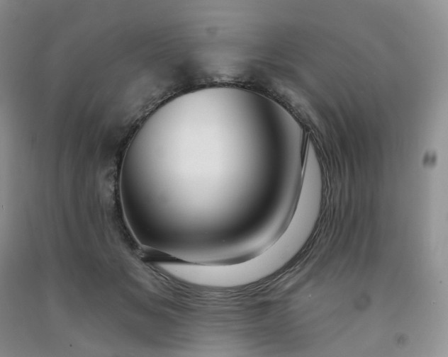 X0000091990509200709201450