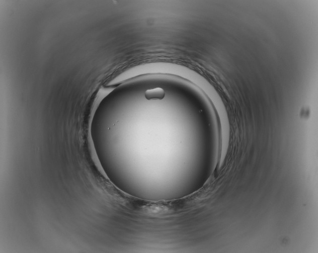 X0000091990512200709201450