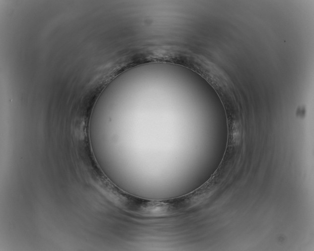 X0000091990514200709201450