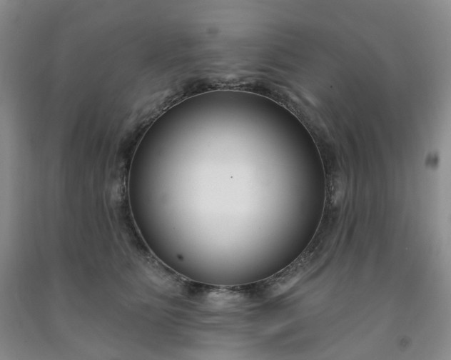 X0000091990515200709201450