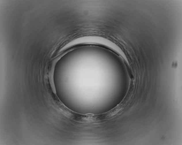 X0000091990516200709201450