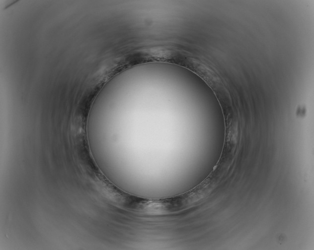X0000091990518200709201450