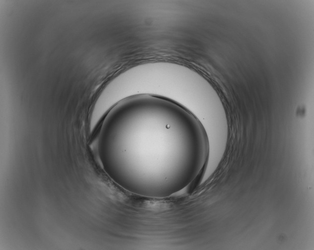 X0000091990520200709201450