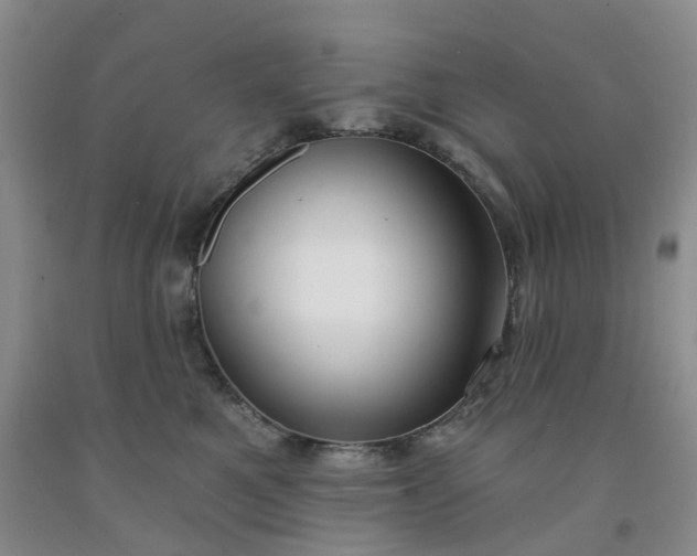X0000091990521200709201450