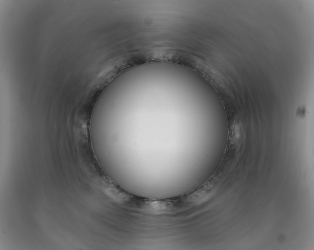 X0000091990522200709201450