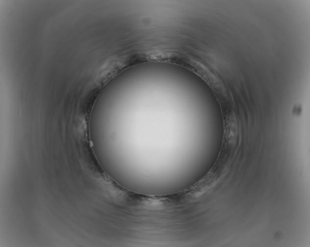 X0000091990523200709201450