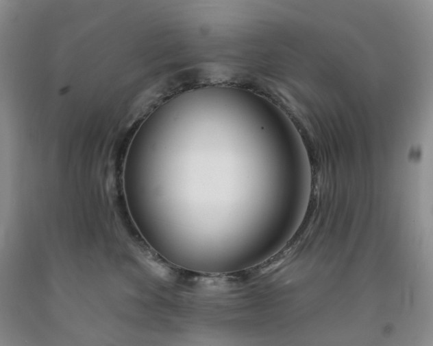 X0000091990524200709201450