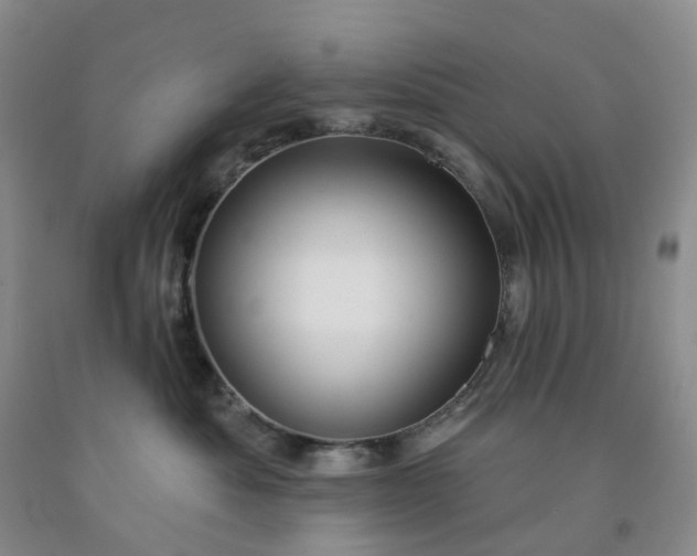 X0000091990525200709201450