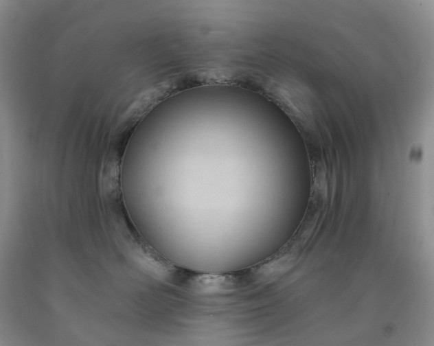 X0000091990526200709201450