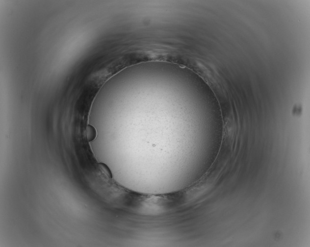 X0000091990527200709201450