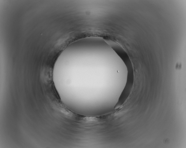 X0000091990528200709201450