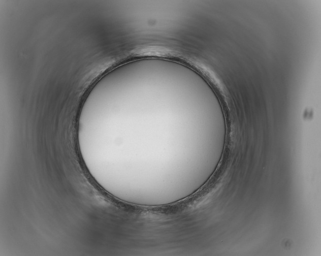 X0000091990529200709201449