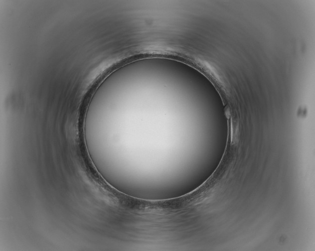 X0000091990531200709201449