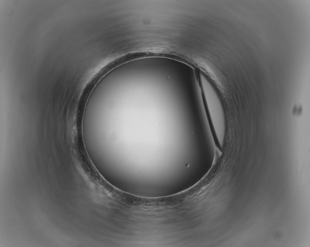 X0000091990532200709201449