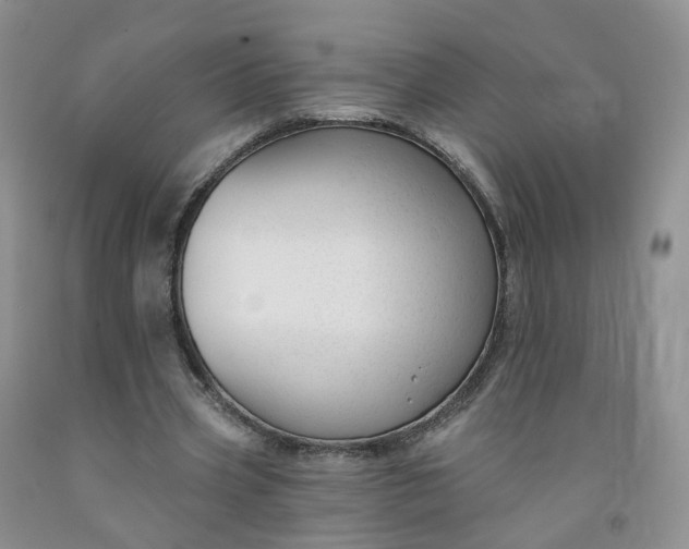 X0000091990533200709201449