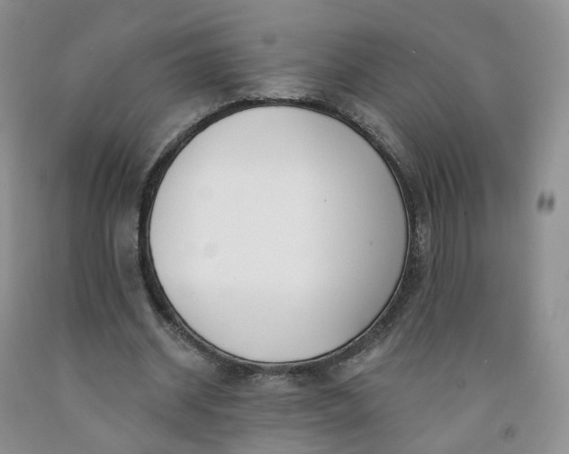 X0000091990534200709201449