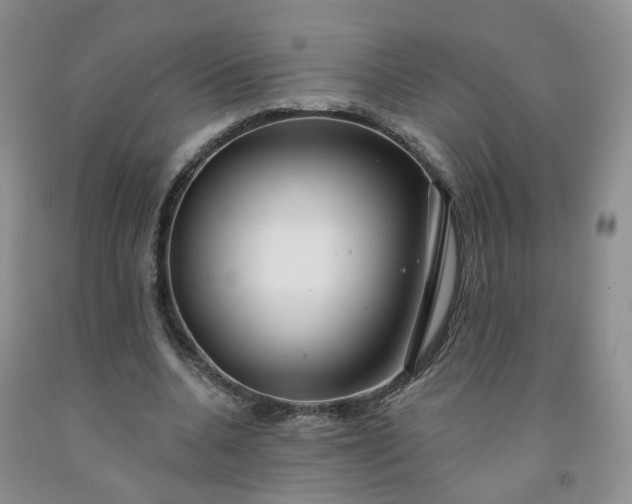 X0000091990536200709201449