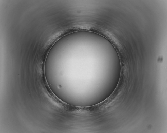 X0000091990537200709201449