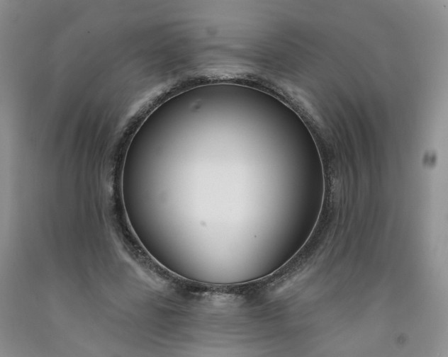X0000091990539200709201449