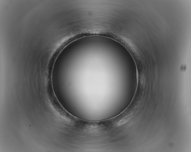 X0000091990540200709201449