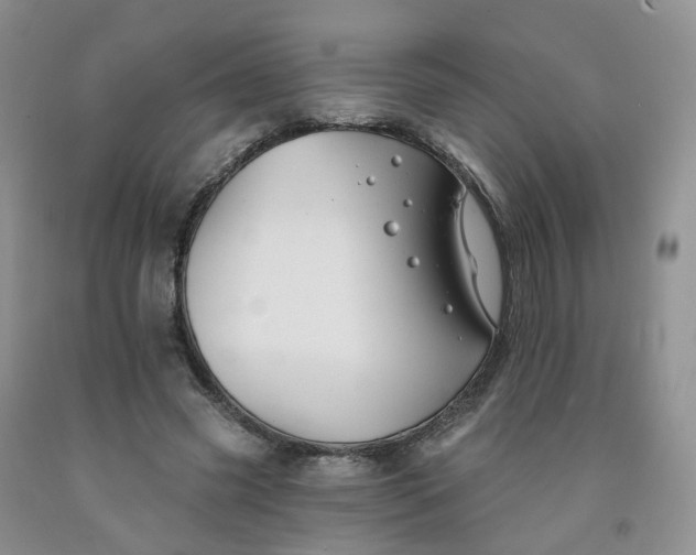 X0000091990541200709201449