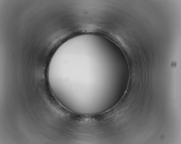 X0000091990543200709201449