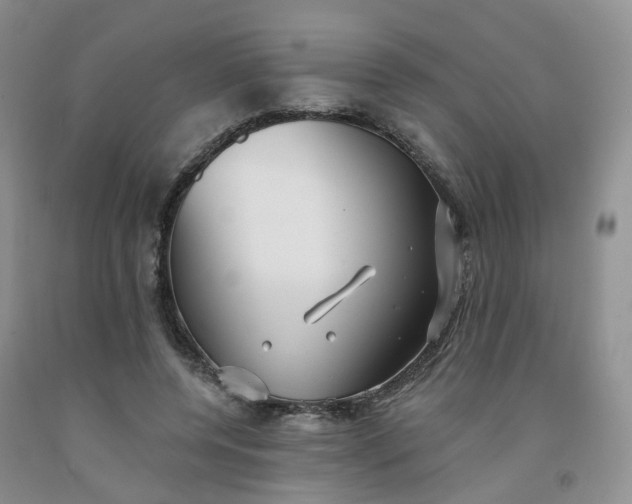 X0000091990544200709201449