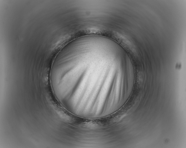 X0000091990545200709201449