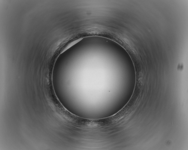 X0000091990547200709201449