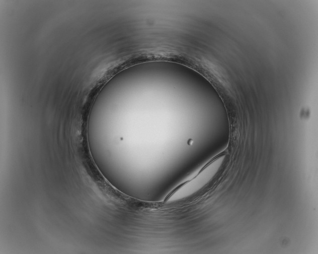 X0000091990548200709201449