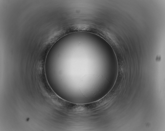 X0000091990551200709201449