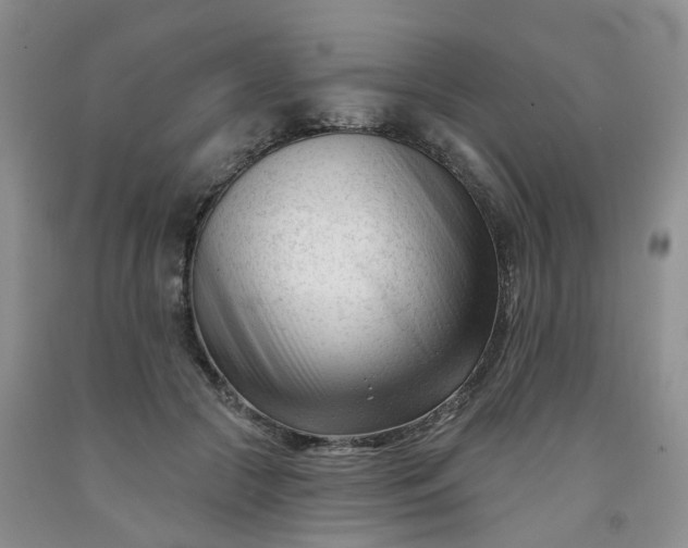 X0000091990553200709201449