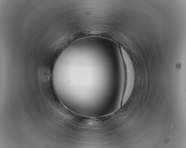 X0000091990555200709201450