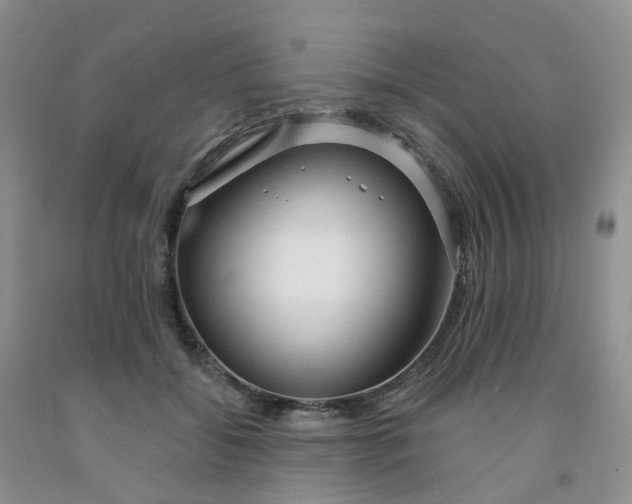 X0000091990556200709201450