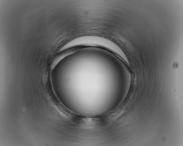 X0000091990558200709201450